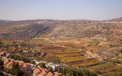 Three Canadian Jewish organizations protest proposed West Bank land purchases by KKL-JNF