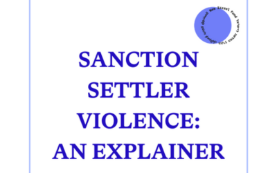 Explaining International Sanctions on Violent Settlers