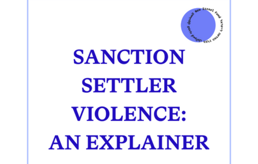 Explaining International Sanctions on Violent Settlers