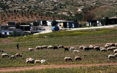 Defending Palestinian Property Rights in the West Bank