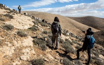 Blocking Settler Violence With “Protective Presence”