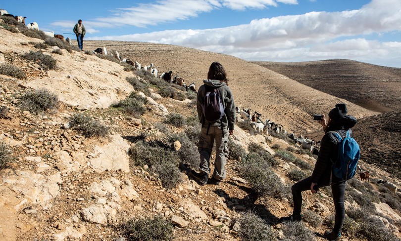 Blocking Settler Violence With “Protective Presence”