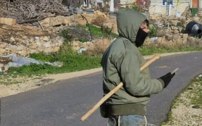 Building and Blocking against Settler Violence in the West Bank