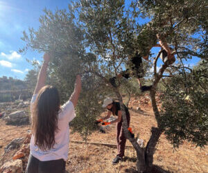 This is How We Stand Up Against Settler Violence