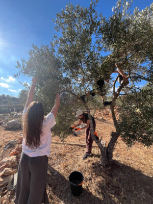 This is How We Stand Up Against Settler Violence