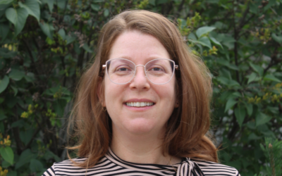 Destruction after Destruction, Renewal after Renewal