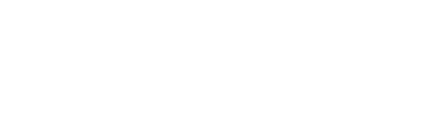 New Israel Fund of Canada logo